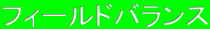 フィールドバランス